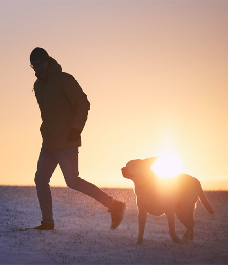 Guida Completa alla Cremazione degli Animali Domestici